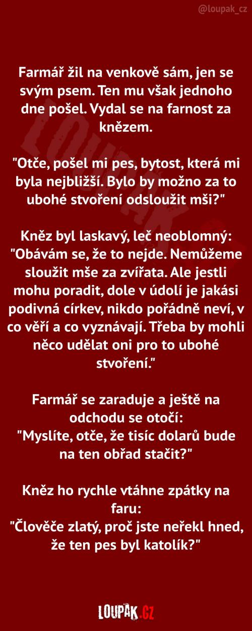  Pes je ve skutečnosti kněz 
