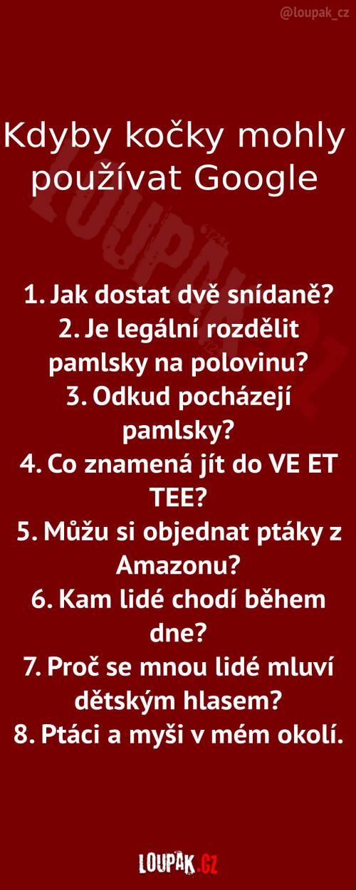  kdyby kočky mohly používat google 