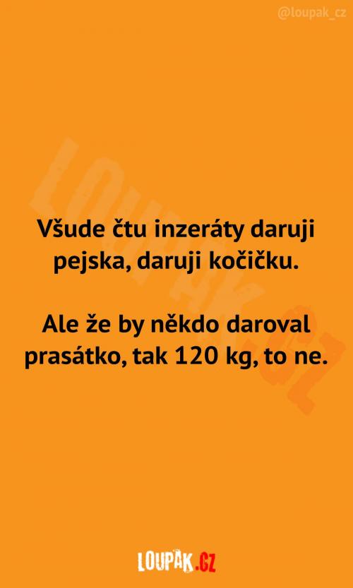  Proč někdo nedaruje tohle 