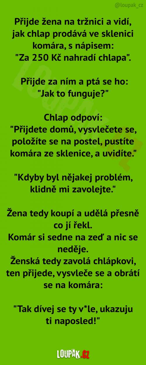  Za 250 Kč nahradí chlapa! 