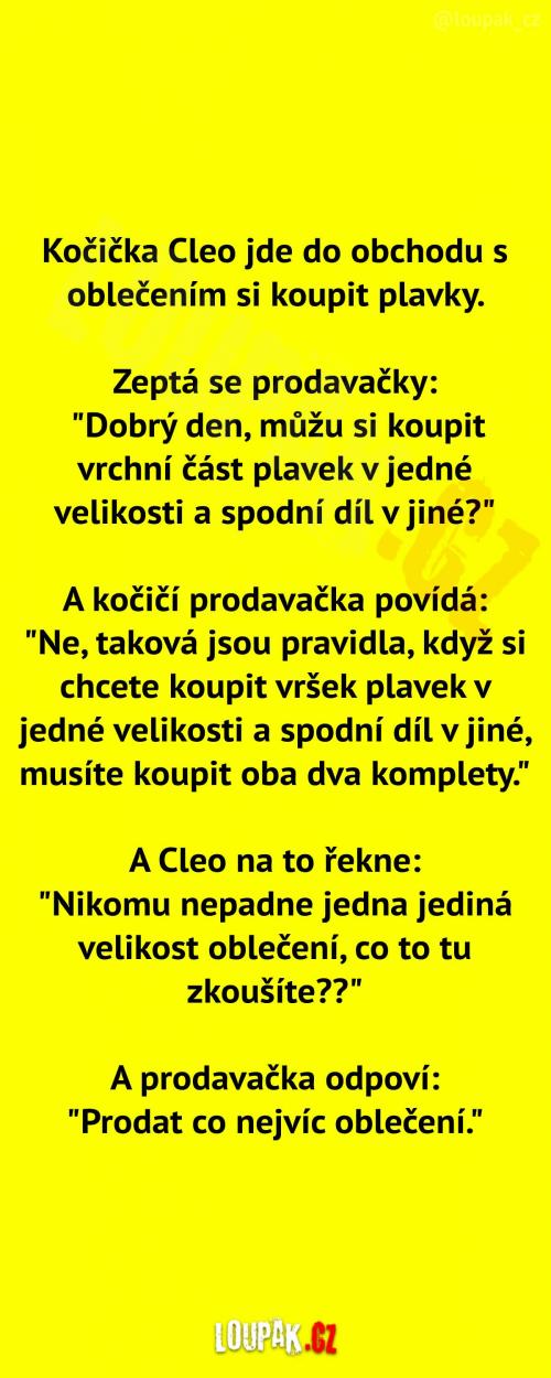  Nakupování plavek na léto  