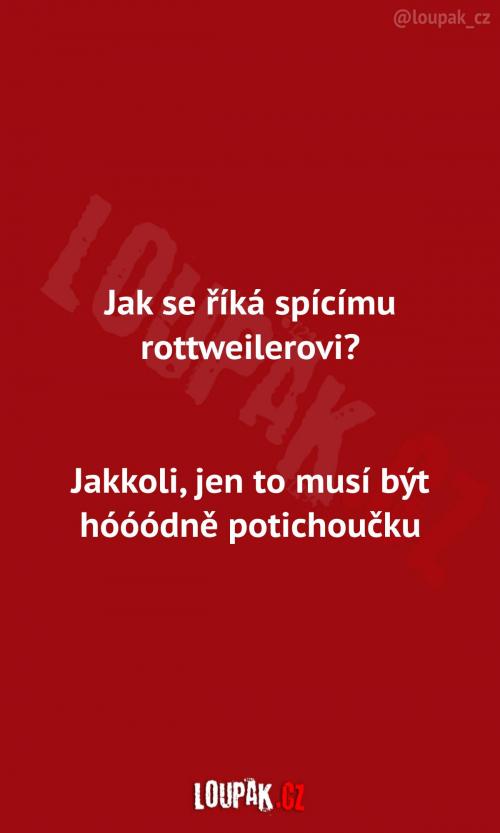  Jak se říká spícímu rottweilerovi  