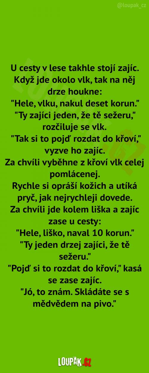  Lesní hra o život    