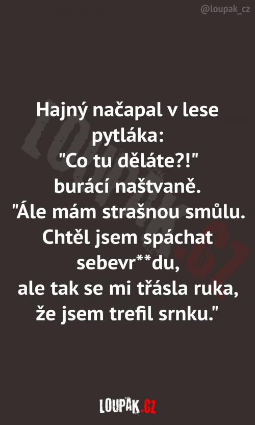  Když už nevíš, na co se máš vymluvit 