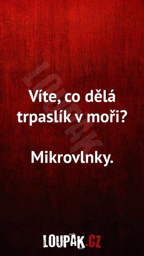  Co dělá trpaslík v moři 