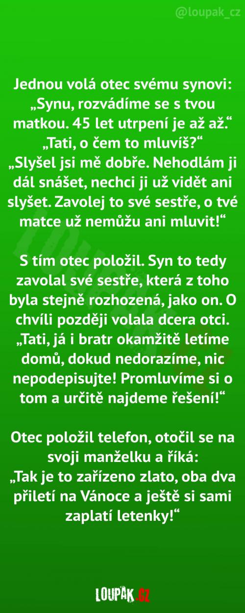  Jak rodiče vyřešily návštěvu dětí 