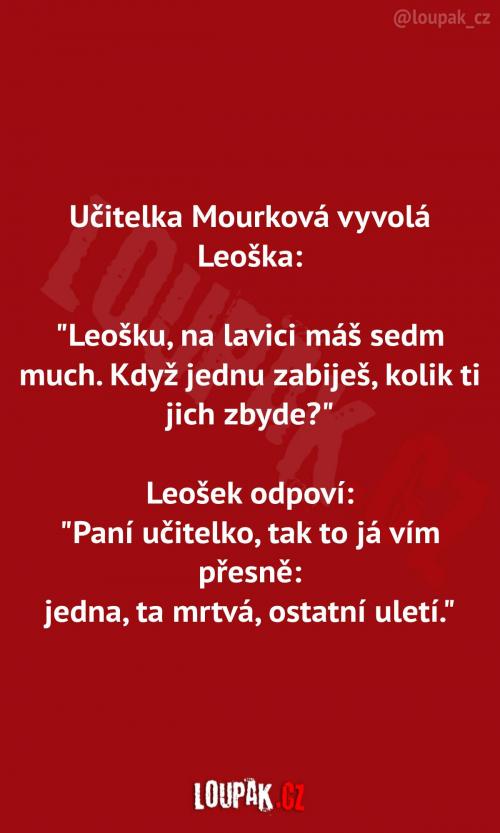 Počítání s mouchami 