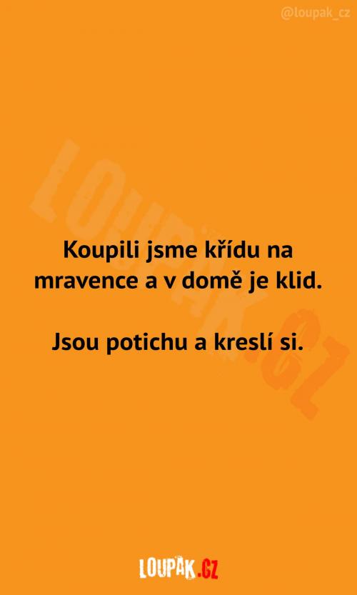  Jak funguje křída na mravence 