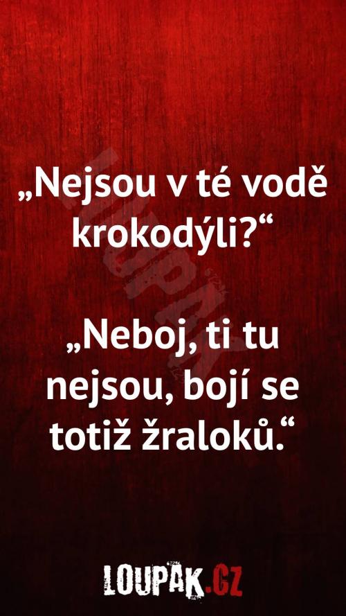 Nejsou v té vodě krokodýli