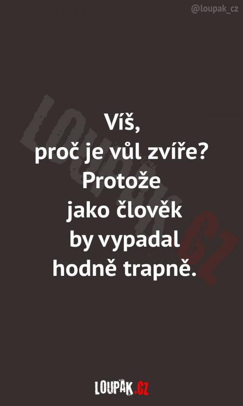  Taková klasická myšlenka, když nemůžete usnout 