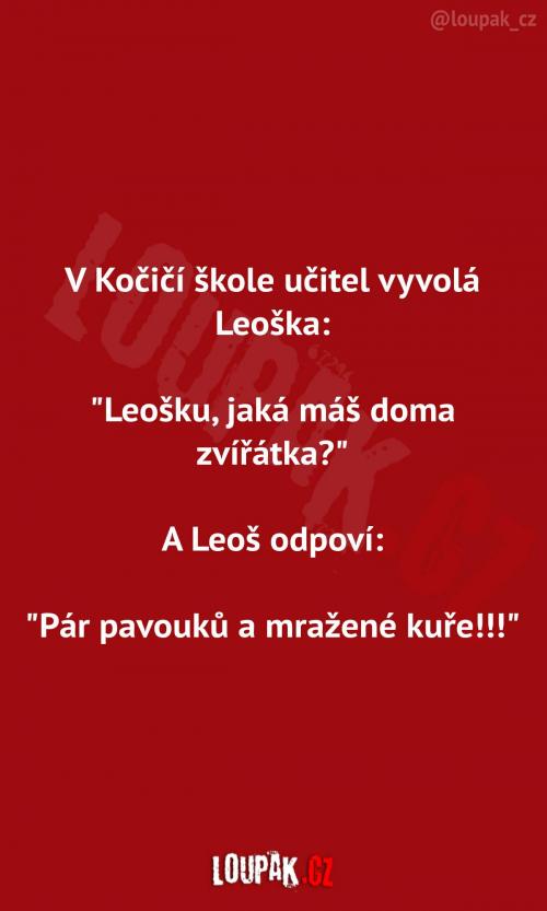  Leošek v kočičí škole  