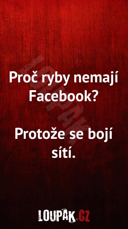  Proč ryby nemají Facebook 