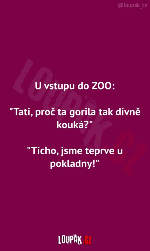  Hnedka u vstupu do zoo 