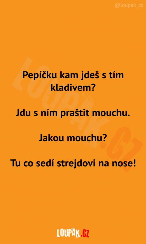 Na mouchu s kladivem