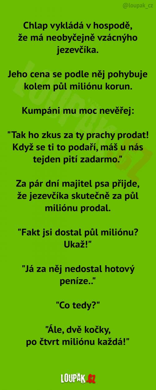 Neobyčejně vzácný jezevčík