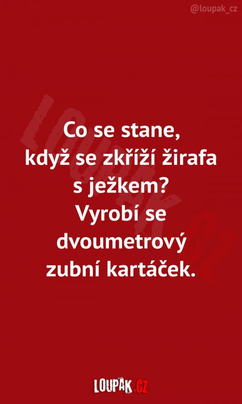  Stačí na to jít logicky... 