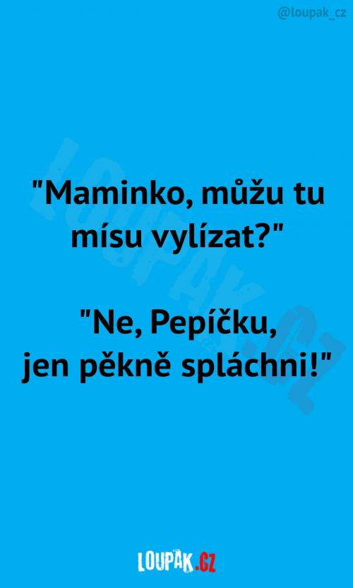  Může Pepíček tu mísu vylízat? 