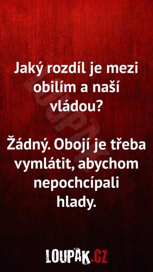 Rozdíl mezi obilím a naší vládou