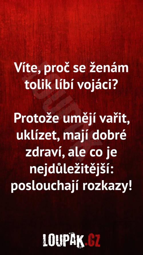  Proč se ženám líbí vojáci 