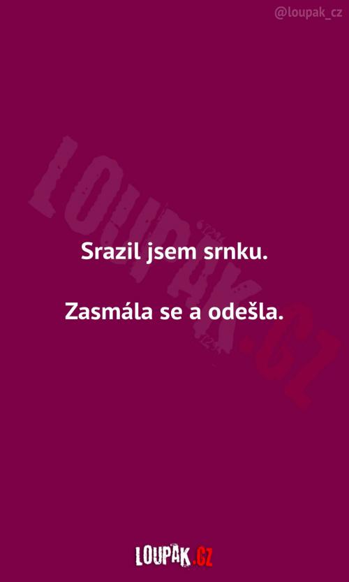 Co se stane, když razíte srnku 
