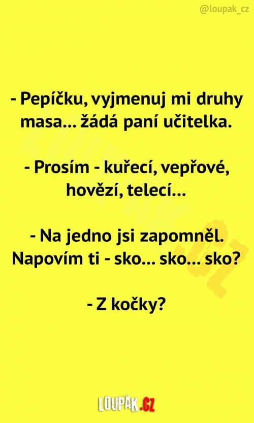 Paní učitelka se ptá na druhy masa