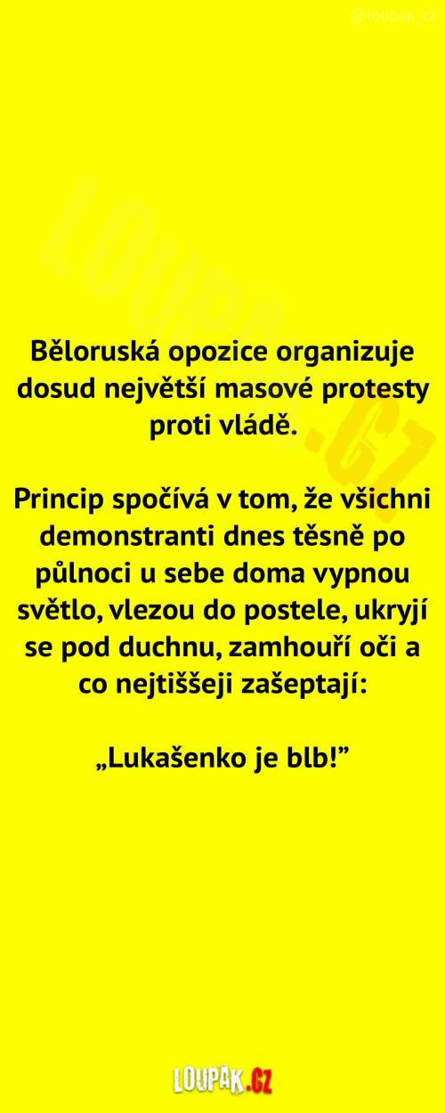  Největší masové protesty 