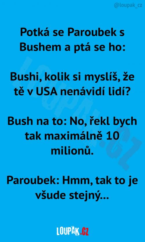 Když se potká Paroubek a Bush