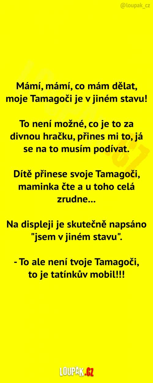 Tamagoči v jiném stavu?!