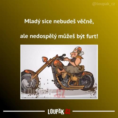  Mladý 