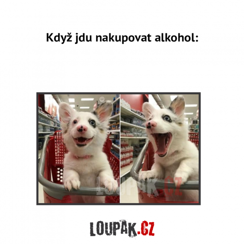 Nakupovatz