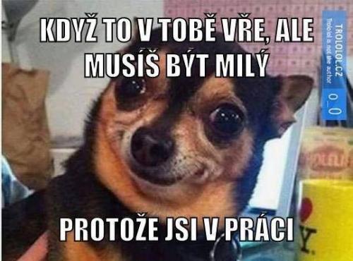  Práce 