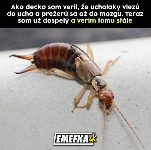  Malý 