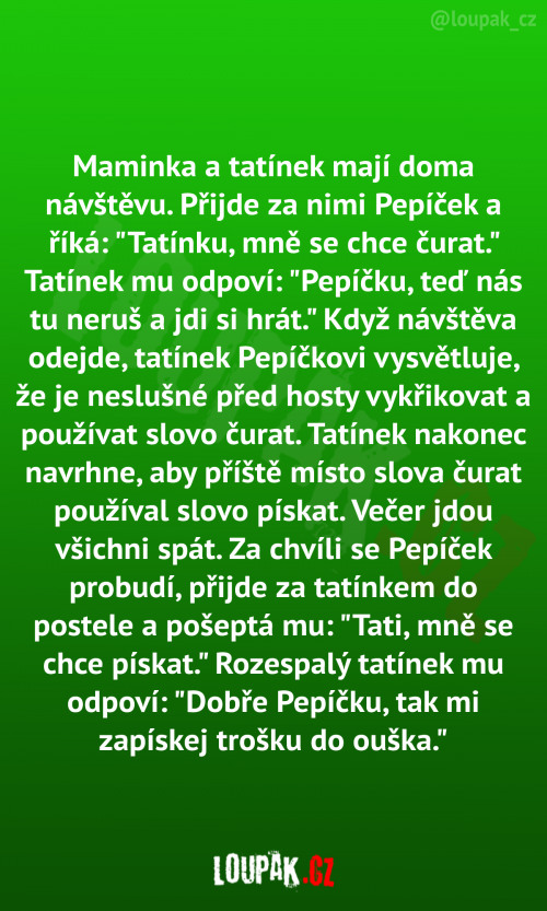 Maminka a tatínek mají doma návštěvu