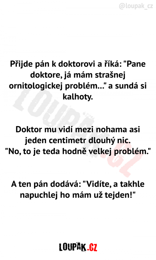 Strašnej ornitologickej problém