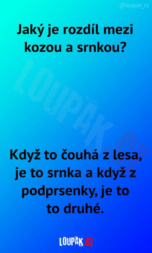 Rozdíl mezi kozou a srnkou