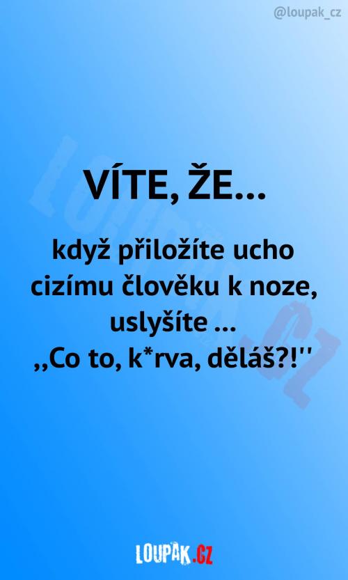  Tohle většinou uslyšíte 