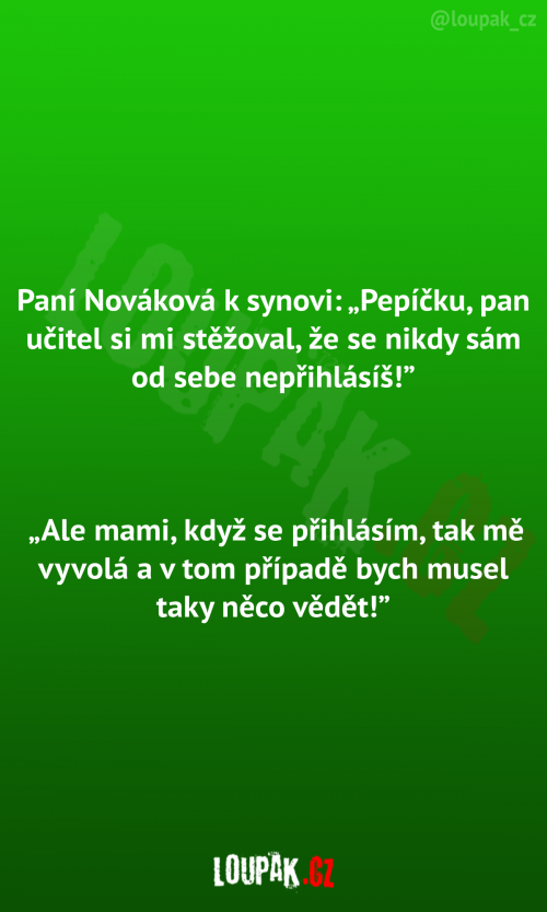  Paní Nováková k synovi 