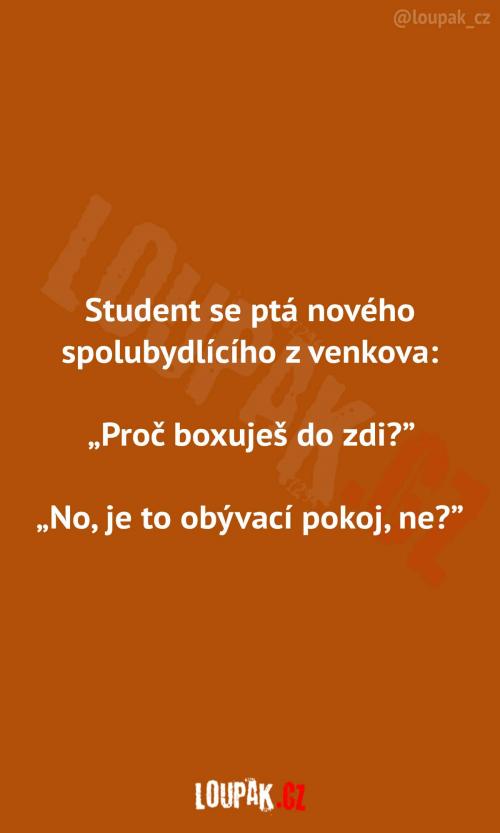  Mezi studenty v bytě  