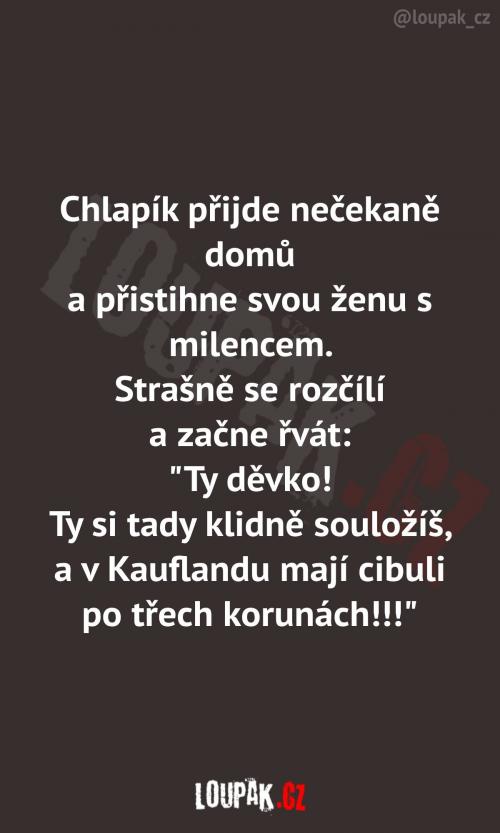 To je mi tedy hospodyňka!