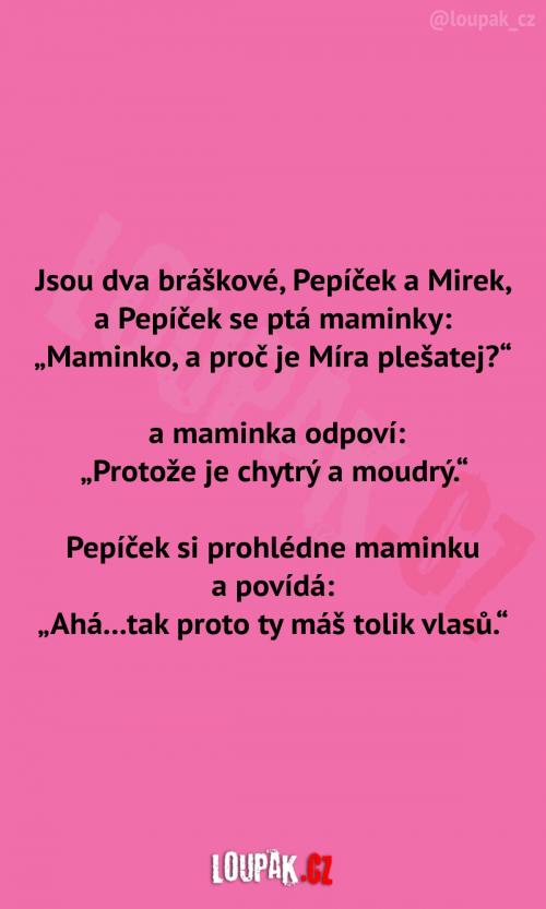 Dva bráškové Pepíček a Mirek