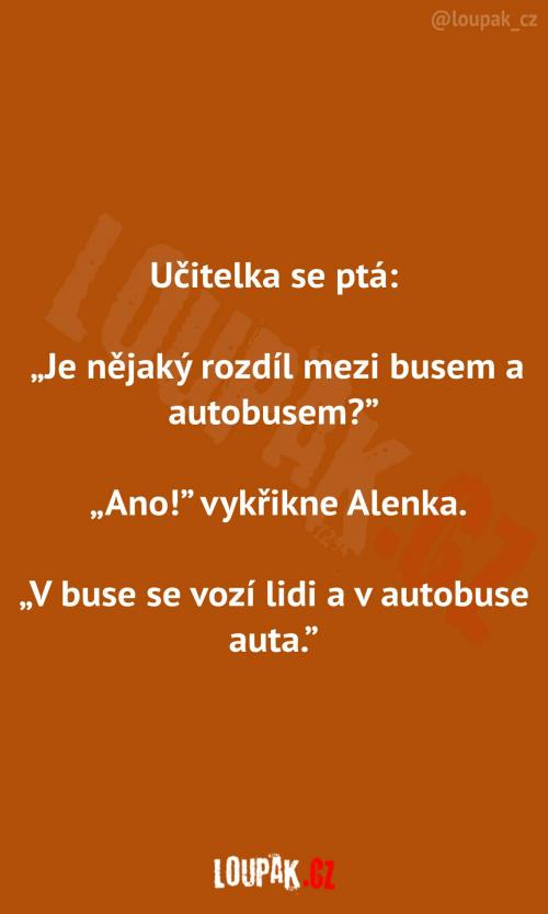 Rozdíl mezi busem a autobusem