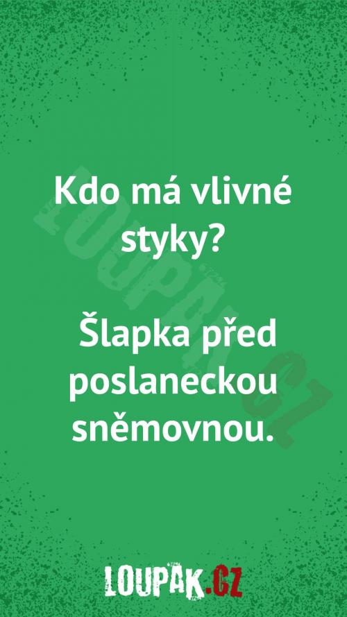  Kdo má vlivné styky... 