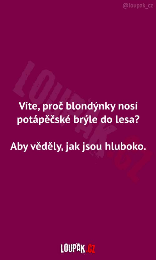  Potápěčské brýle do lesa 