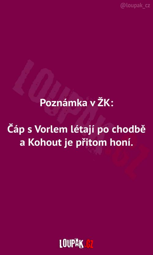  Vtipná poznámka v žákovské 