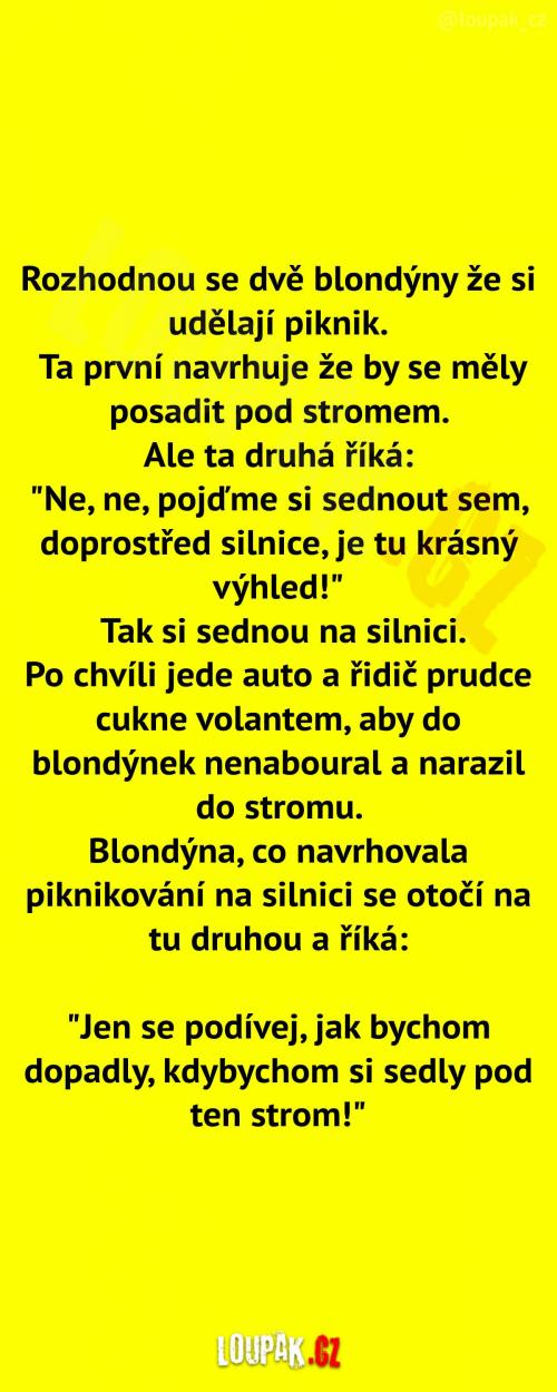 Rozhodnutí dvou blondýn