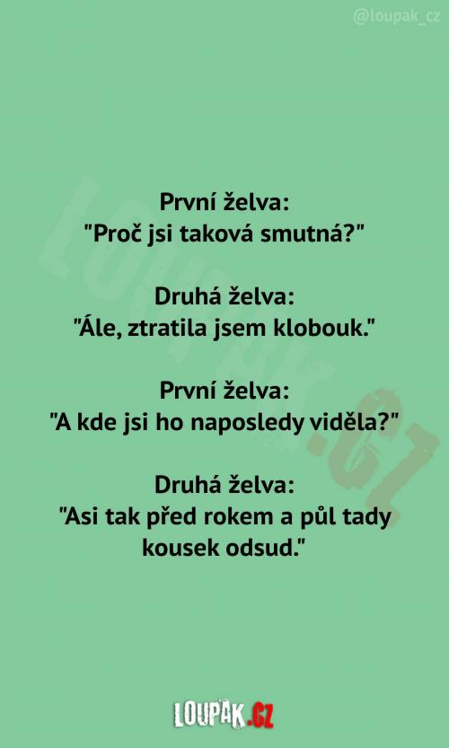  Želva ztratila klobouk 