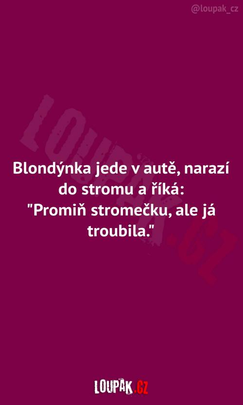 Proč blondýnka narazila do stromu