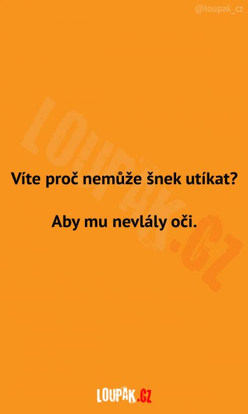  Proč nemůže šnek utíkat? 