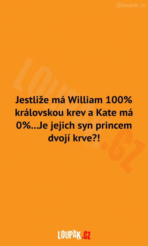  William a Kate a jejich zvláštnost 