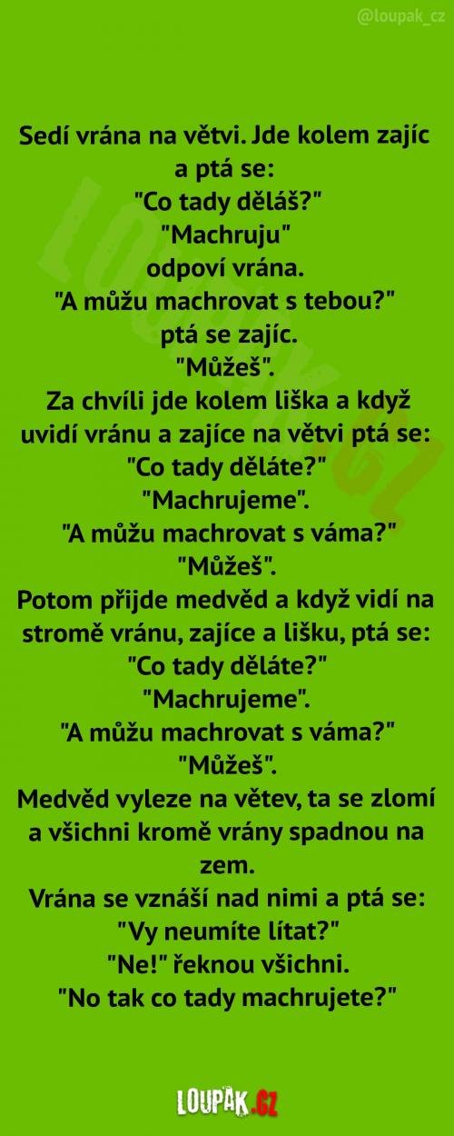  Vrána, která machruje  